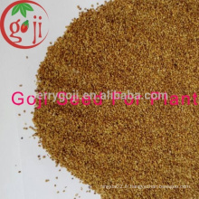Goji Farm offre des graines de baies de goji élevées de qualité supérieure / NQ-01